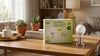 A modern living room features a table with green plants and a decorative tray. A G45 4.9W Eco LED bulb box and the bulb are prominently displayed, conveying an eco-friendly theme.